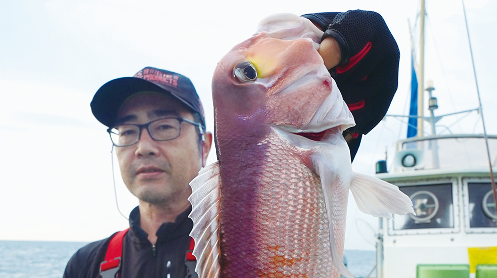 【秋の鯛】相模湾のアマダイは今シーズンも順調 シロアマダイにも期待！