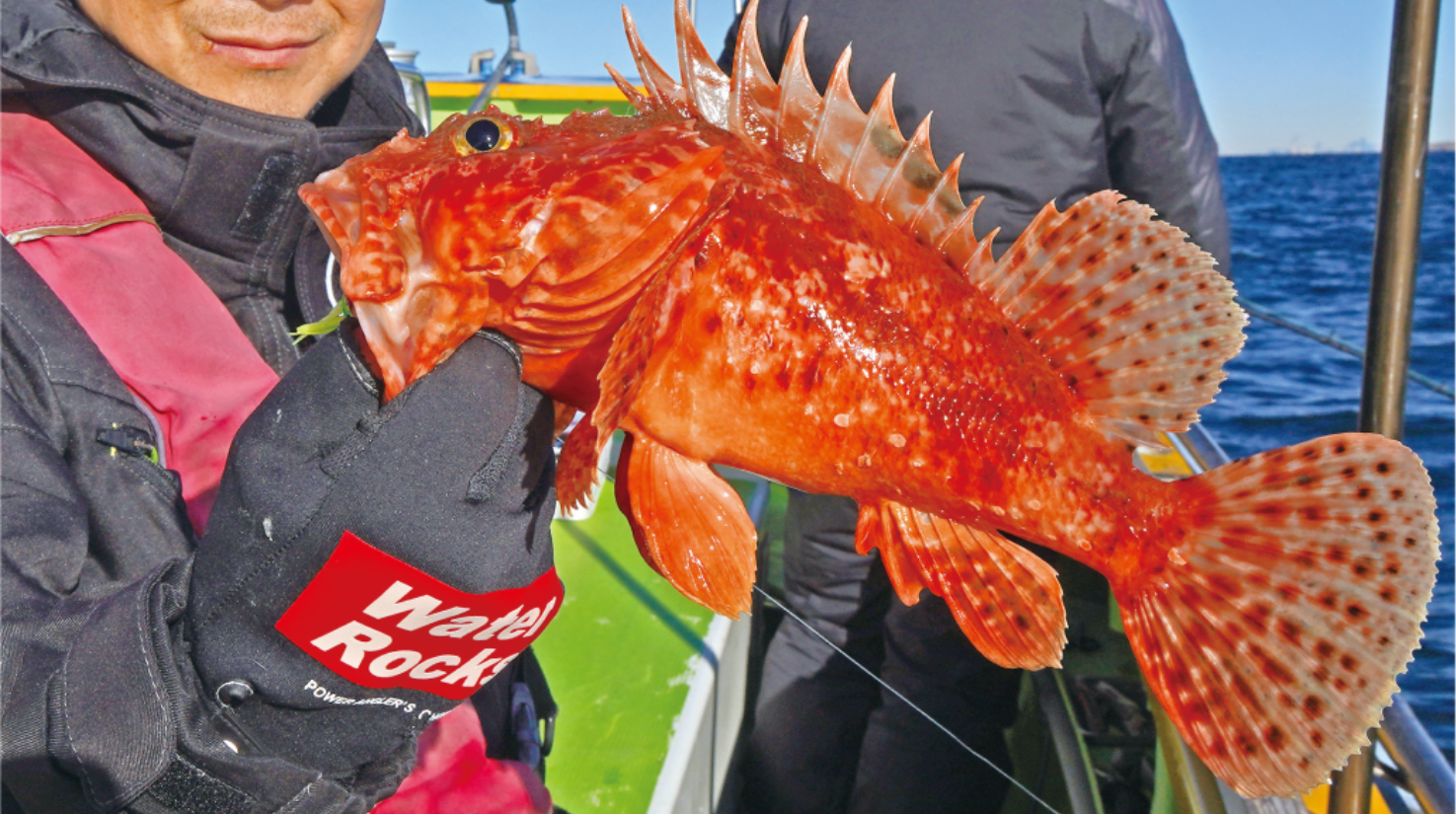 【冬は深場推し】深くないのがウリ＆魅力！ 湾奥オニカサゴ好期突入