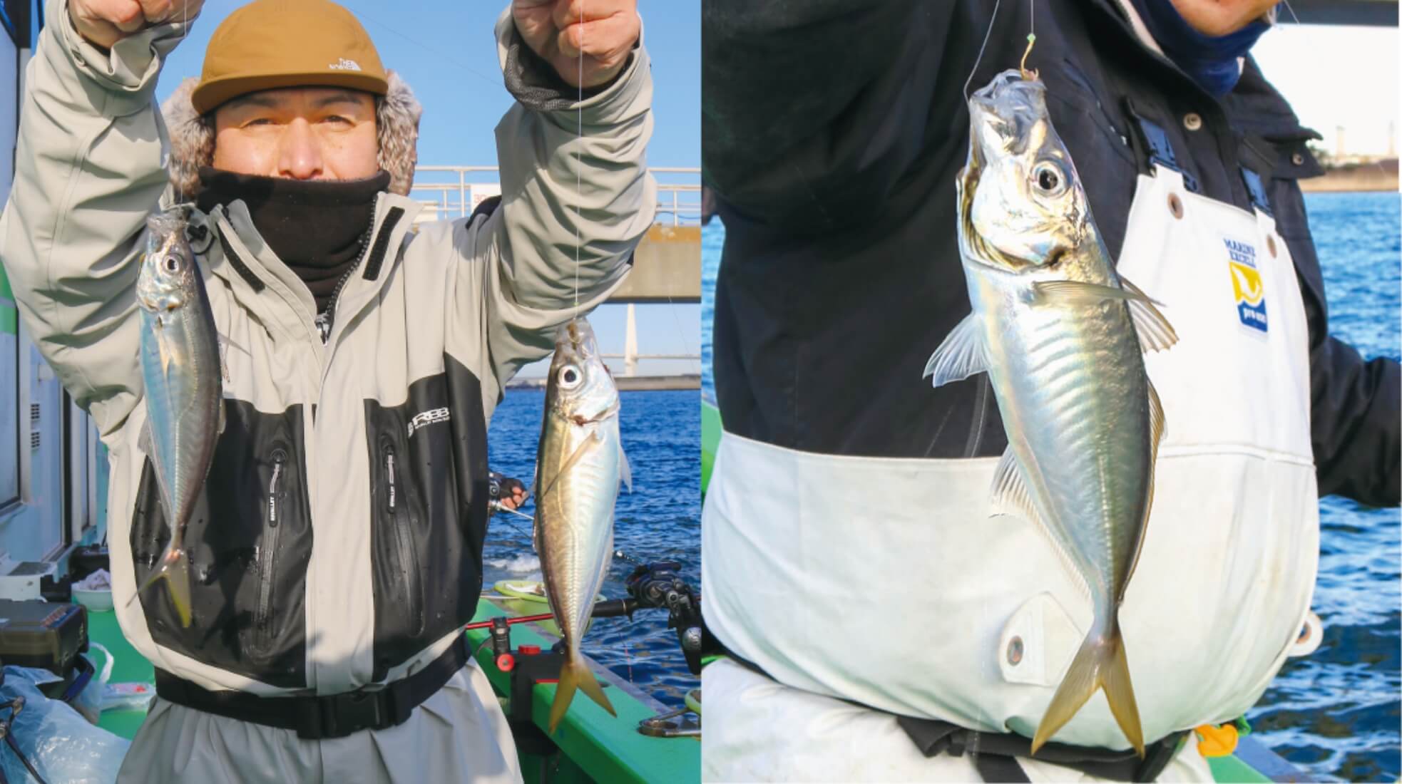 【春はライトで軽やかに！】手軽で簡単よく釣れる 湾奥のライトアジ好況