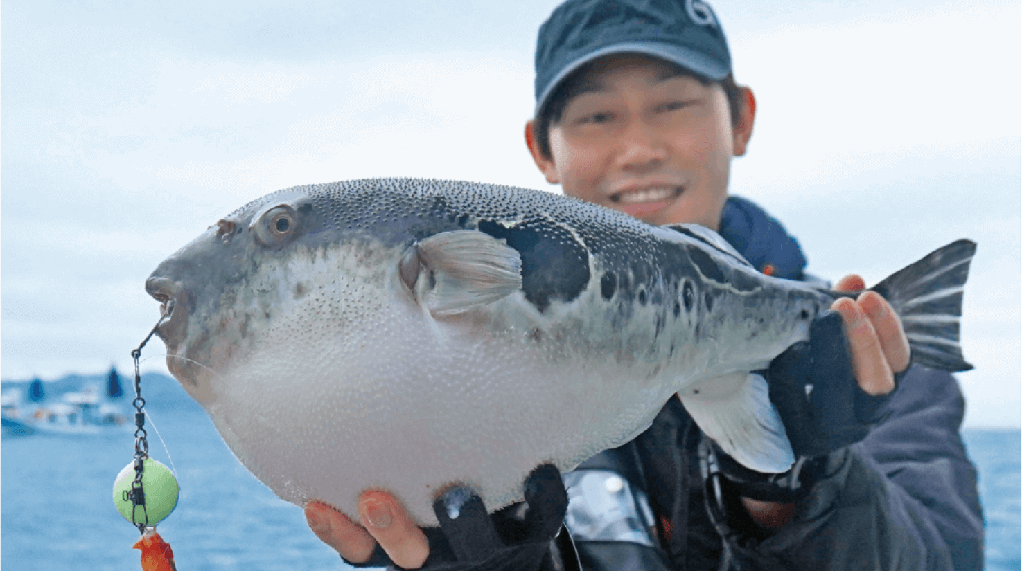 【トラフグ×マダイ】富浦沖に乗っ込み良型来襲 トラフグを釣るなら今!