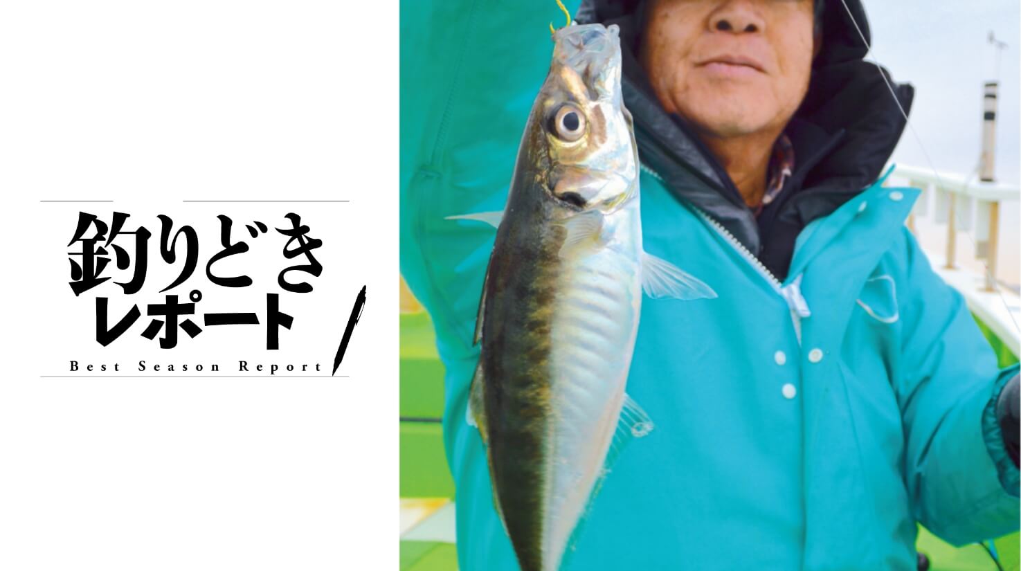 居着きのアジは今が格別 あの手この手で確保せよ