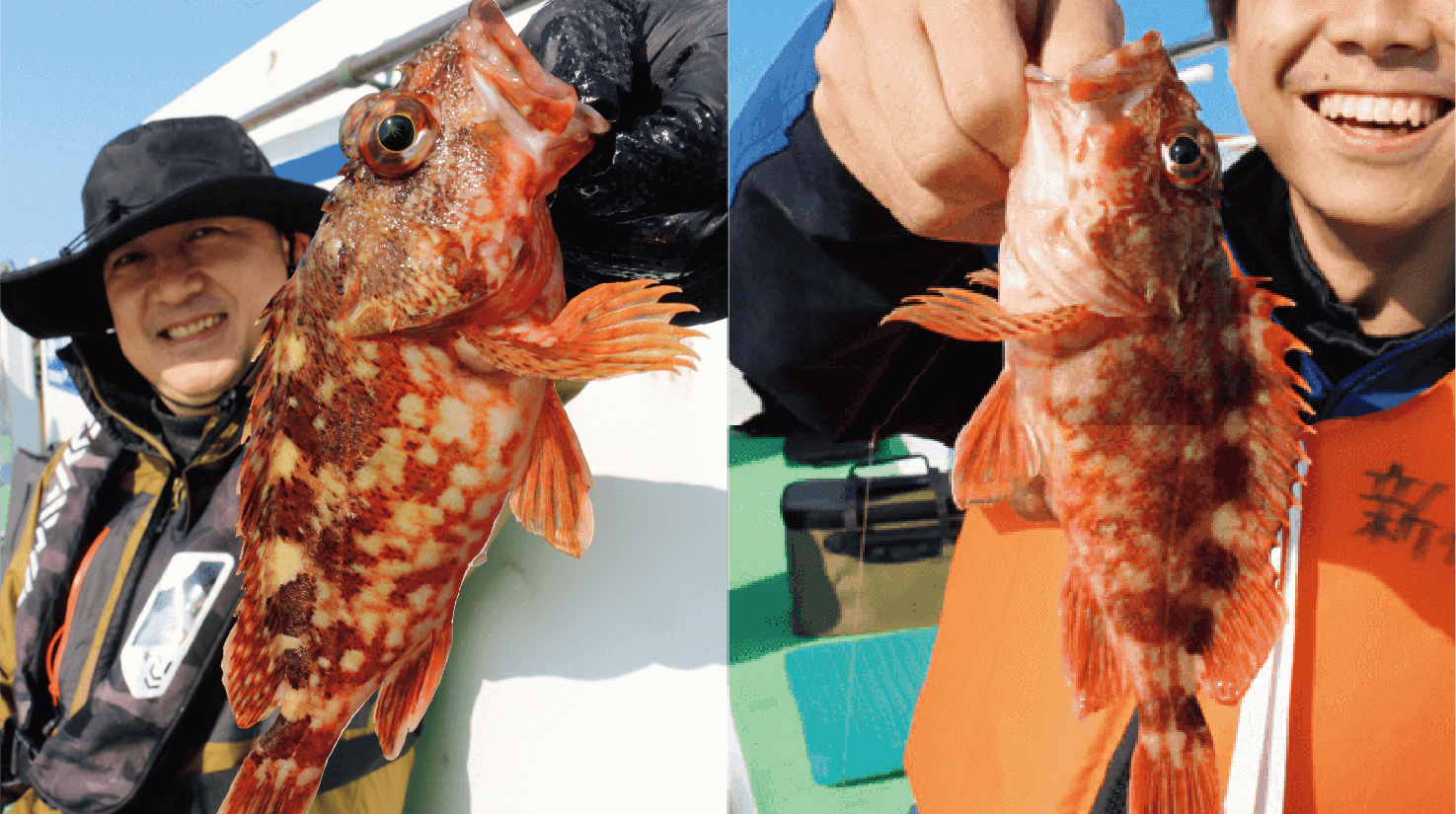 釣果確実おまけにウマイ 気楽に行こうカサゴ釣り