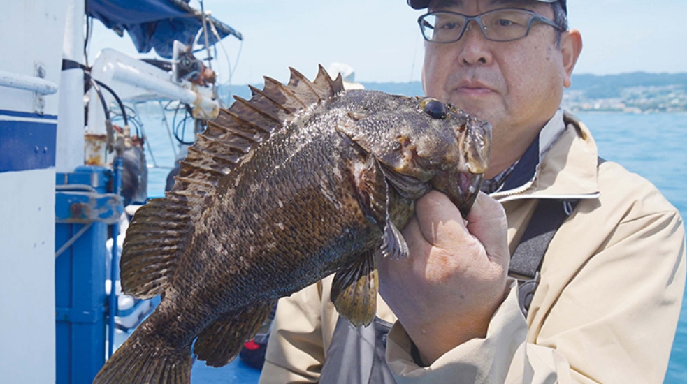 【浅場の根魚3選】超浅場のムラソイ健在 期間限定のアジも熱い!