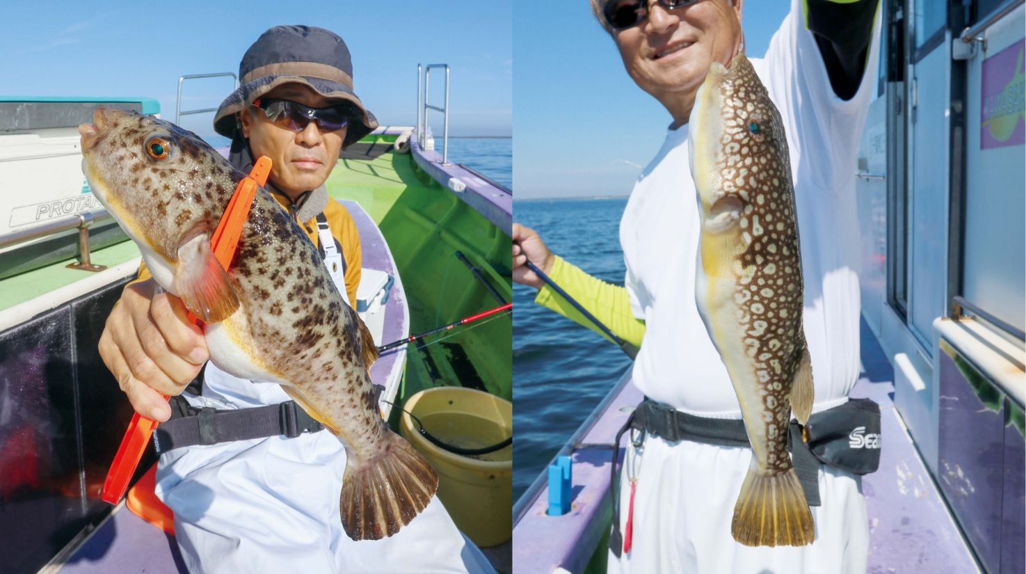 【食わせの悦楽】秋の数釣りシーズンイン 東京湾のフグ釣り盛期へ