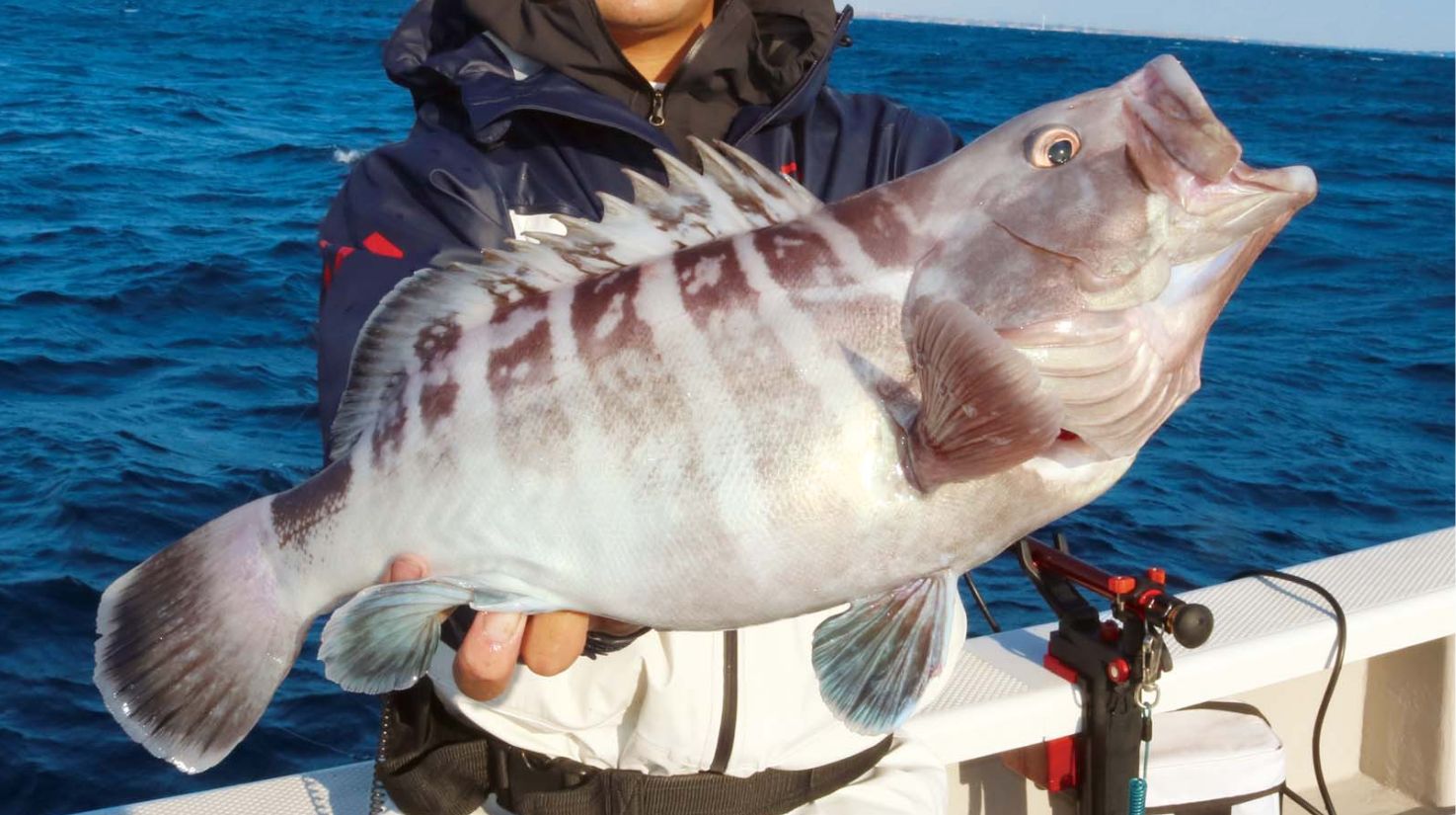 【師走の３!】期間限定の超アツメニュー マハタの穴場ここにあり！