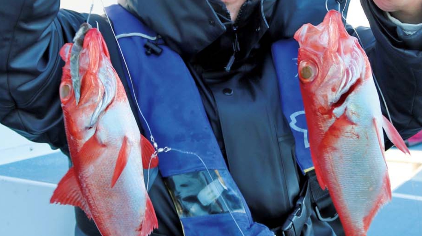 【ライトに狙い鯛！】クーラー１個でエントリーＯＫ キンメ＆ムツを手軽に狙おう！