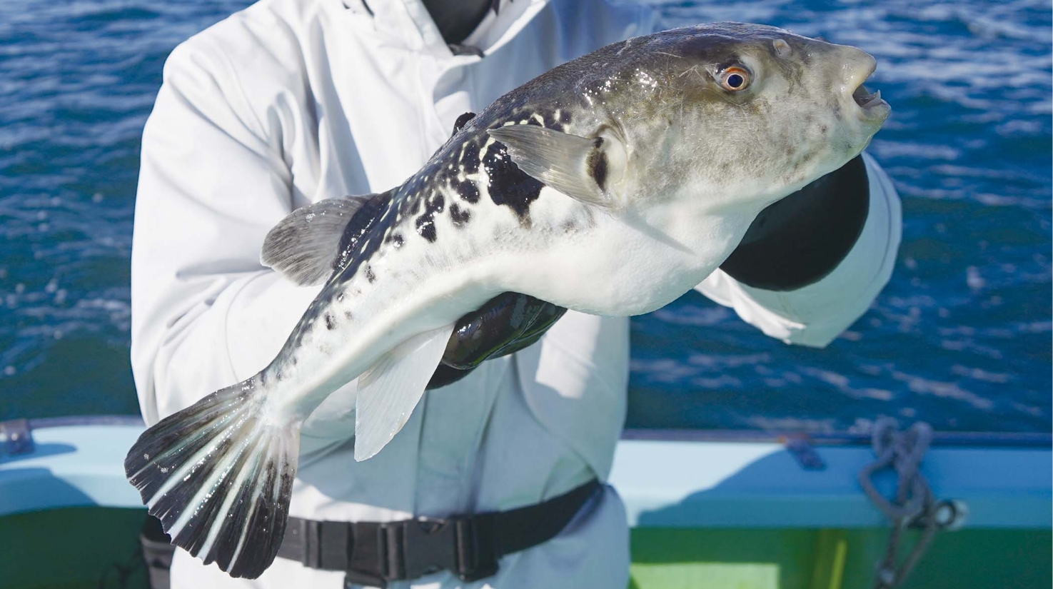 【初釣りスペシャル2026】初トラは大吉スタート！ 今期も期待感は激高だ