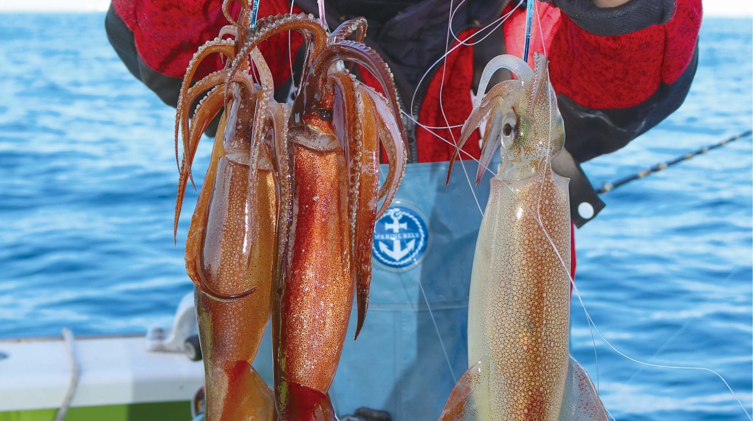 【春のイカ！マル・ヤリ・スルメ】沖イカファン注目の洲ノ崎沖 ヤリ＆スルメが狙える好期へ