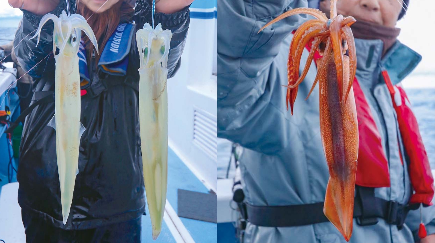 【春のイカ！マル・ヤリ・スルメ】良型主体で乗りは明確 茨城のヤリイカ始動！