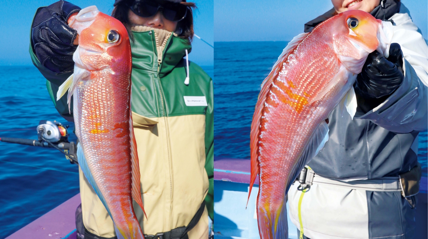 【茨城県日立沖のアマダイ】良型アマダイの宝庫！ 茨城県日立沖でニッコニコ