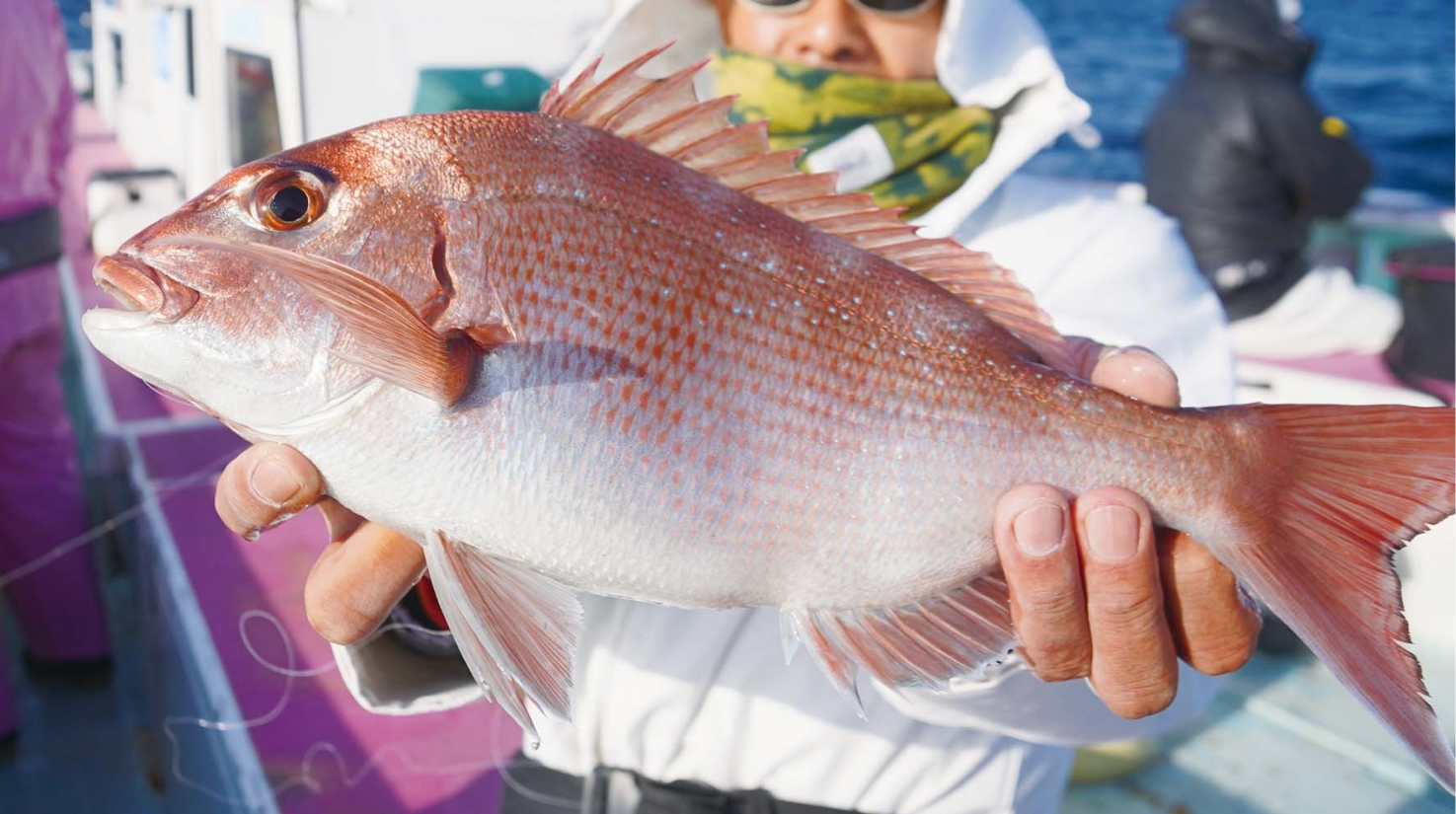 【春の沖釣り発進！】乗っ込み第一陣は2月に来襲 3月は大ダイのチャンス大！