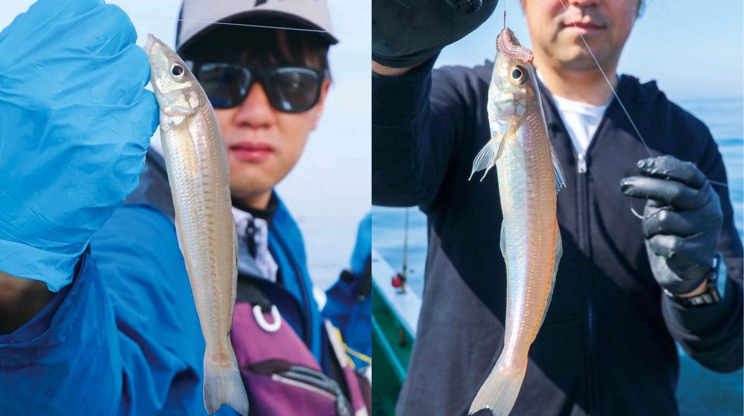 【春の沖釣り発進！】良型主体で引きも最高！ 東京湾のシロギス釣れてます