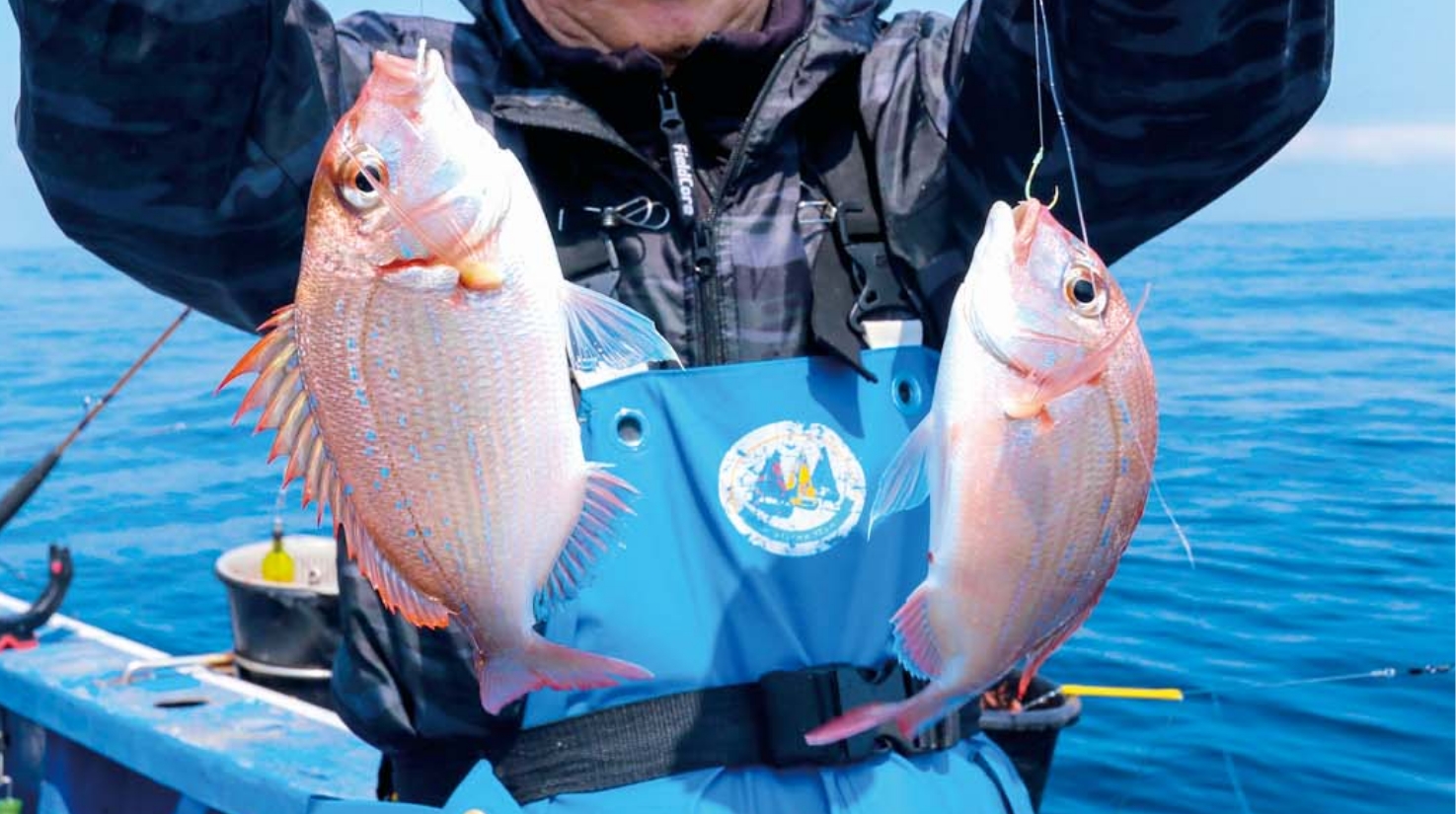【新緑のコマセ釣り】コマセシャクリで狙う 飯岡沖のハナダイ好況