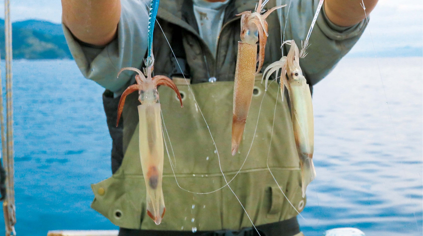 【初夏の夜釣り３選】浅ダナで乗りまくり 沼津沖のムギイカ開幕