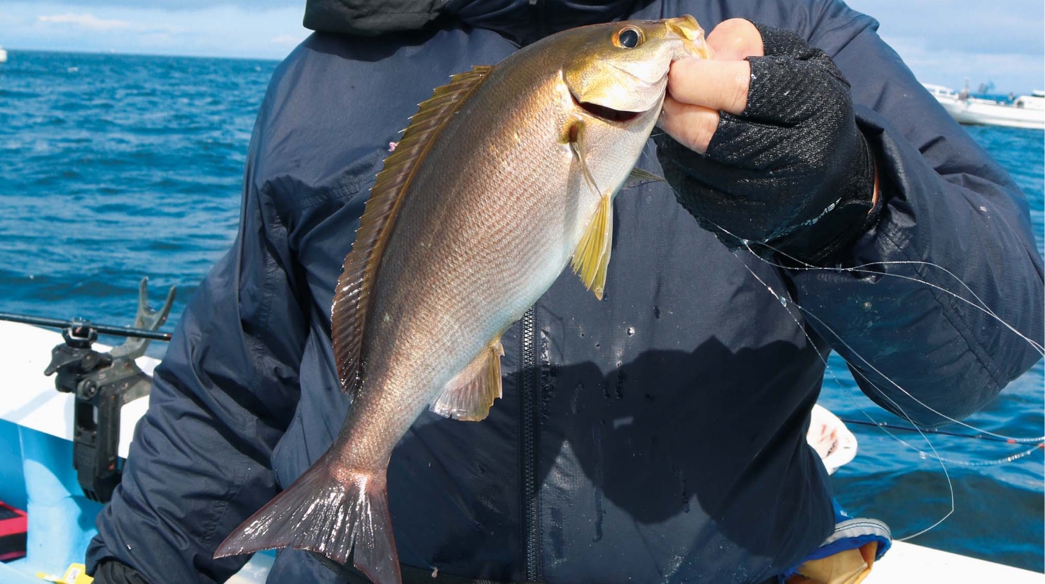 【狙え！夏旬魚】アジ、イサキどっちもほしい 両方好調で釣果は心配なし！