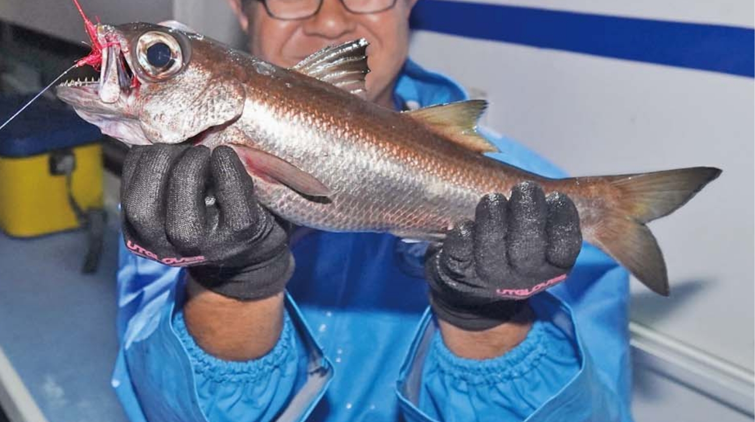 【おいしい秋見つけたっ！】夜〜早朝はクロムツ五目 リレーはオニカサゴが好感触
