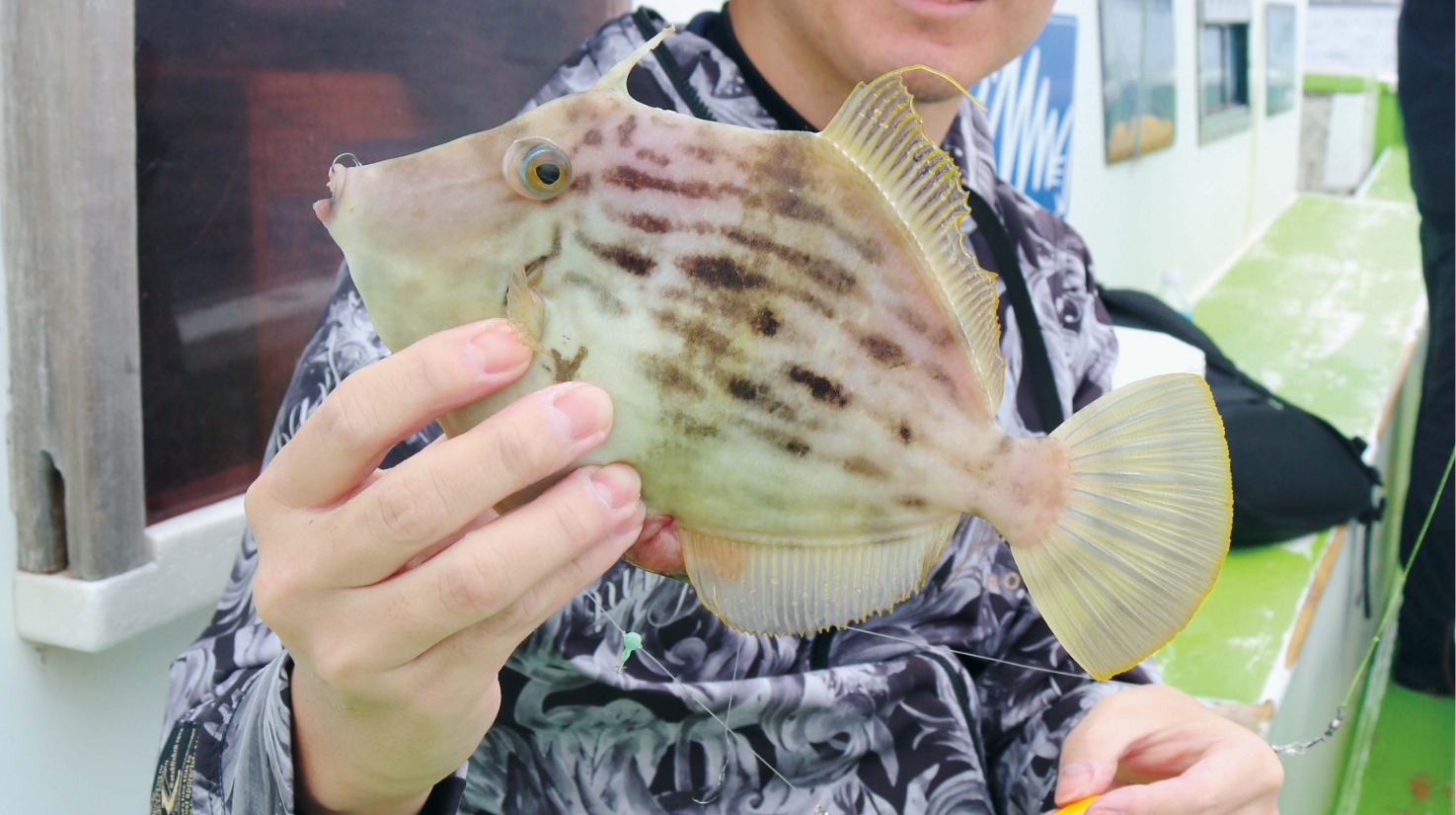 【おいしい秋見つけたっ！】カワハギ良型主体で好発進 水温低下で本格化も近い！